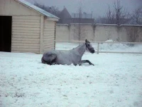 DSCN2085.webp