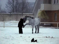 DSCN2095.webp