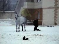 DSCN2098.webp