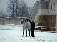 DSCN2100.webp