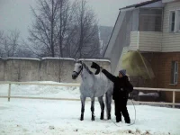 DSCN2101.webp
