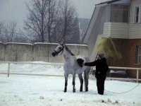 DSCN2102.webp