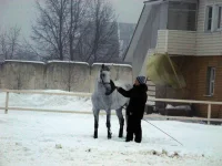 DSCN2103.webp