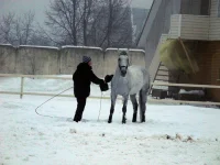 DSCN2104.webp