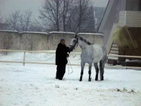 DSCN2105.webp