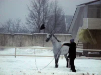 DSCN2099.webp