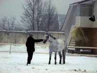 DSCN2106.webp