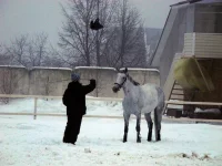DSCN2107.webp