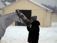DSCN2113.webp