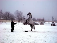 DSCN2119.webp