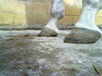10022013219.webp