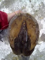 10022013224.webp