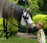 k1.webp