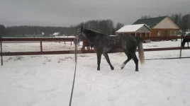 hPBQRLE7j9U.webp