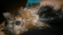 BxkixkZofzs.webp