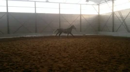 b6LhA2EyRqc.webp
