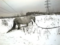 DSCN2322.webp