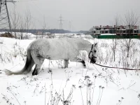DSCN2325.webp