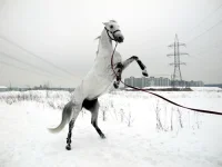 DSCN2345.webp