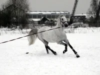 DSCN2377.webp