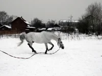 DSCN2381.webp