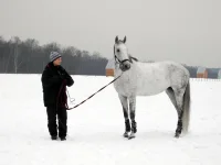 DSCN2448.webp
