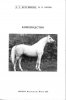 А.С. Красников, В.Х. Хотов - Коневодство. 1995 год.jpg