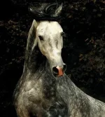 gnzB4 (1).webp