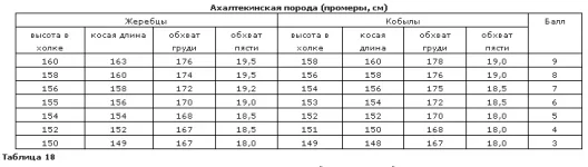 Промеры ахалтекинских лошедей.webp