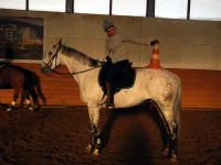 DSCN2505.webp