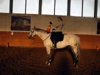 DSCN2509.webp