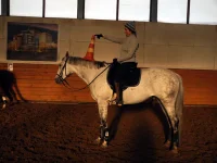 DSCN2510.webp