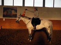 DSCN2511.webp