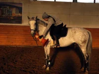 DSCN2513.webp