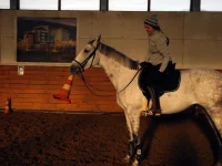 DSCN2514.webp