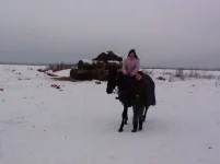 image.webp