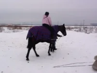 image.webp