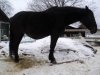 DSC03053.JPG