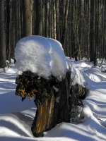 DSCN2562_1r.webp