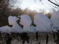 DSCN2540_1r.webp