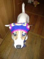 IMG-20130215-WA0000.webp