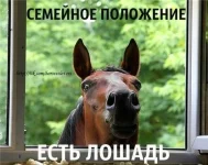 f2aU8HwIjHg.webp