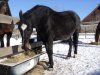 DSC03147.JPG