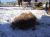 DSC03194.JPG