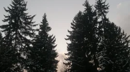 D3SOiEB1hLg.webp