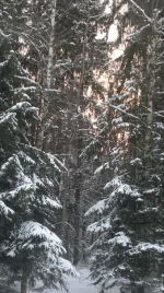 giAZcQhOUW8.webp