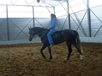 tVRR7btaXRc.webp