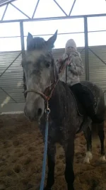 g7YgYevgHG8.webp