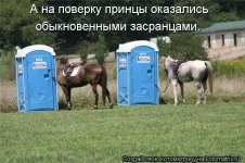 1156544.webp