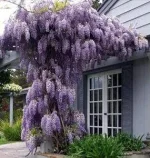 0_5e862_26d536da_M.webp